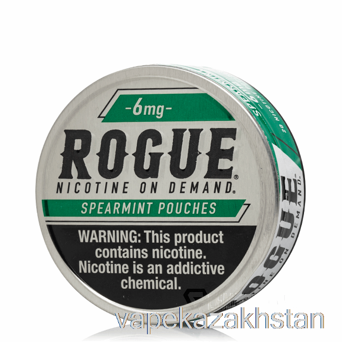 Vape Smoke ROGUE Nicotine Pouches - SPEARMINT 6mg